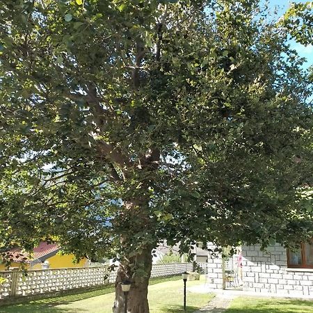 Bed and Breakfast Il Faggio Beura Экстерьер фото
